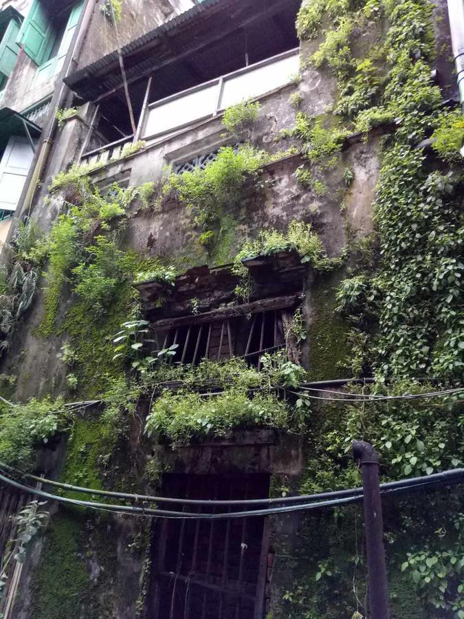 Baobabed Hostel Yangon, Myanmar Экстерьер фото