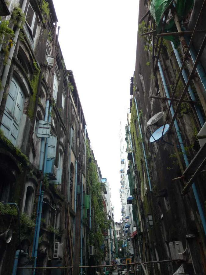 Baobabed Hostel Yangon, Myanmar Экстерьер фото